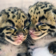 Illustration for article titled Cutepocalypse Is Upon Us